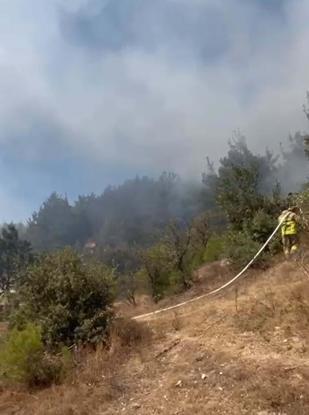 Balıkesirde orman yangını 2 saatte kontrol altında