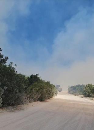 Bursada çıkan orman yangını kontrol altında