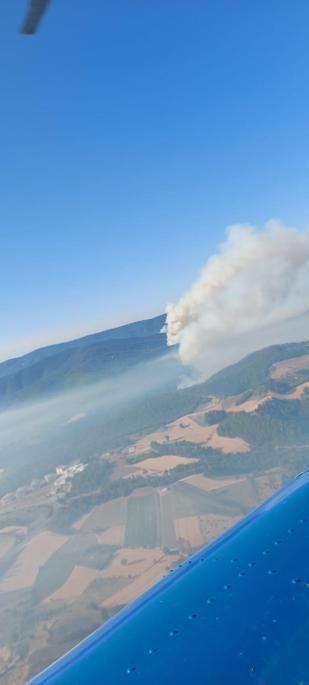Sakaryada çıkıp Bilecike sıçrayan orman yangını 2nci gününde