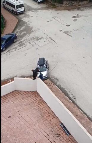 Otomobili, husumetli olduğu ailenin üzerine sürdü; o anlar kamerada