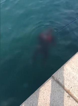 Beykozda balık tutanların oltasına ceset takıldı