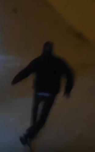 Görüntülemek istedikleri kurdun saldırısından araçlarına binerek kurtuldular