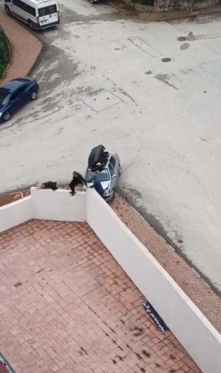 Otomobili, husumetli olduğu ailenin üzerine sürdü; o anlar kamerada