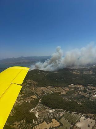 Urla’da yine orman yangını kontrol altında