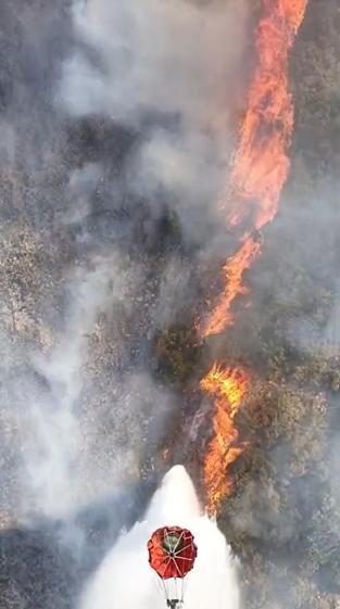 Bursa’da orman yangını
