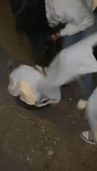 2 kız, tartıştıkları kızı yere yatırıp darbetti