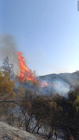 Hatayda orman yangını