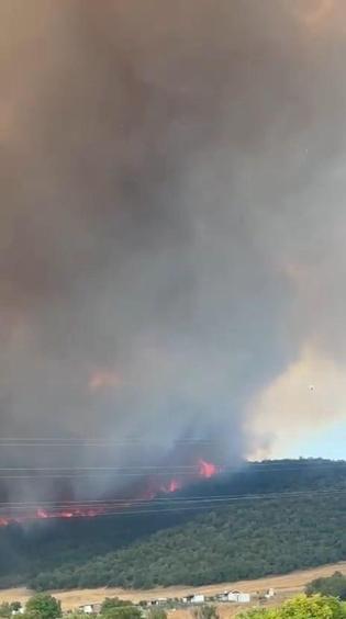 Bursa’da orman yangını kontrol altında