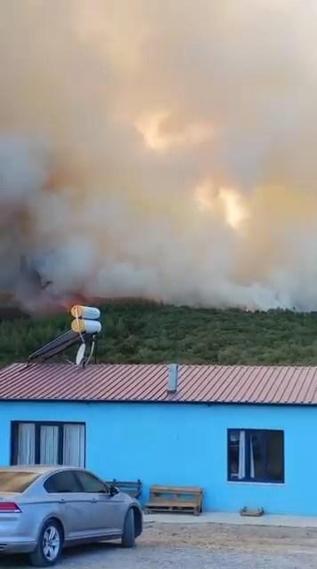 Bursa’da orman yangını kontrol altında