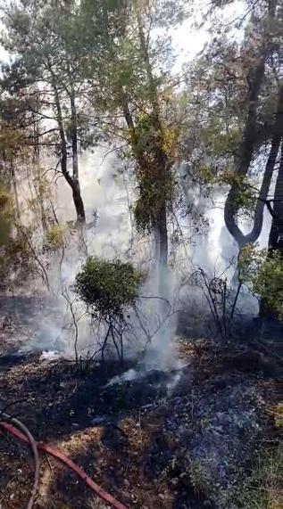 Antalyada orman yangını kontrol altına alındı