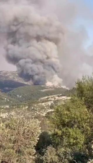 Hatayda orman yangını