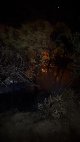 Adana’da orman yangını kontrol altında