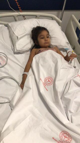 Ankara’da pitbull saldırısına uğrayan 1,5 ve 5 yaşındaki kardeşler yaralandı