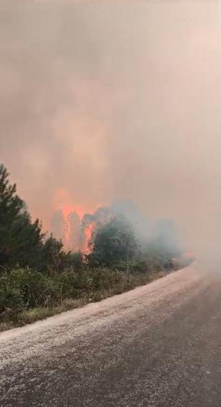 Bolu Göynük’te orman yangını kontrol altına alındı