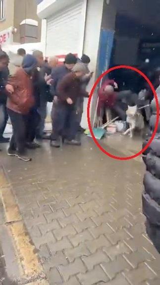 Bingöl’de lastikçiye giren kurt yakalandı