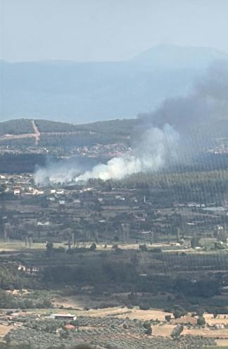 Muğlada tarım arazisinde çıkan yangın ormana sıçradı