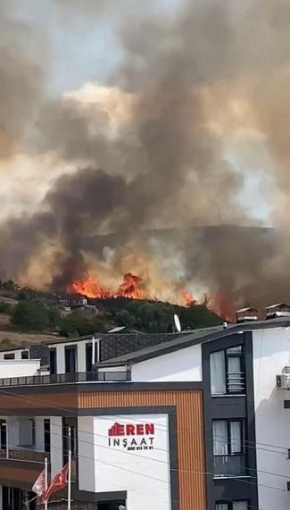 Kocaelide ot yangını kontrol altında