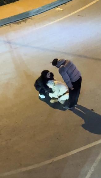 Şişli’de sokaktaki tartışma sonrası kendini yerden yere atan kadın direği yumrukladı