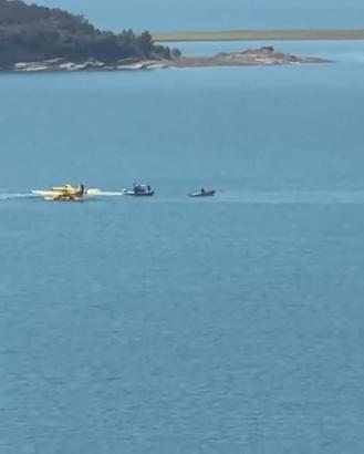 Adanada çıkan orman yangını kontrol altında