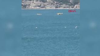 Adana'da orman yangını