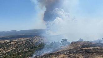 Çanakkale'de orman yangını; alevler köye zarar verdi