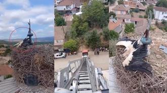 Cami kubbesinde ayağı aleme sıkışan leyleği kurtarma anları kask kamerasında