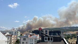 Çanakkale'de iki orman yangını