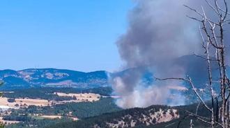 Bolu'da orman yangını