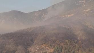 Hatay'daki orman yangını ikinci gününde; havadan müdahale başladı