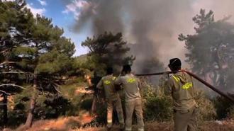 Mersin'deki orman yangını 2'nci gününde