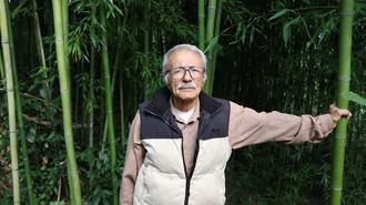 Samsun'da 10 yıldır bahçesinde bambu yetiştiriyor