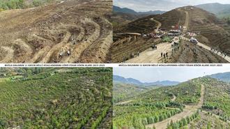 6 yıl önce dikilen fidanlar geleceğe nefes oldu