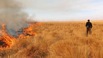 Nehil Sazlığı'ndaki yangına helikopterle müdahale