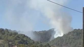 Muğla Seydikemer'de orman yangını