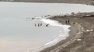 Yüksek kesimlerine kar yağan Bitlis'te, göle girip yüzdüler