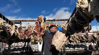 Gurbetteki Karslılar için 900 kazı keserek kurutmaya bıraktı