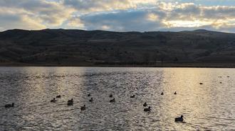 Kuruyunca kuşların da terk ettiği göl, yağışlarla yeniden 'hayat' buldu