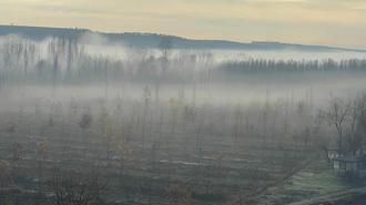 Dicle Vadisi'nde sis manzarası