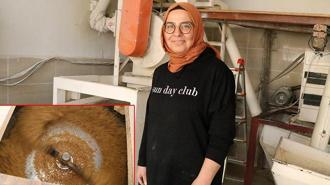 İki çocuk annesi, baba yadigarı 'ekmek teknesi' değirmeni 15 yıldır işletiyor