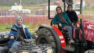 Kentten kırsala dönüp yaban mersini yetiştiren kadınlar, hemcinslerinin de bütçelerine katkı sağlıyor