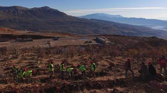 Gabar'da fidan dikim seferberliği