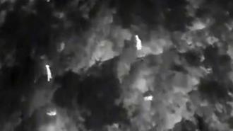 Üreme dönemindeki yaban keçileri, termal kameralı dronla izleniyor