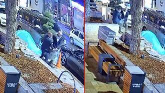 Parkta, büyük saksıdaki ağacı otomobilin bagajına koyup çaldılar