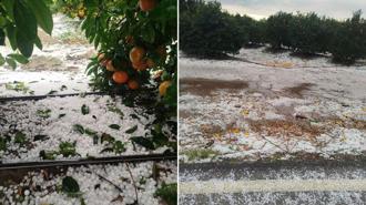 Adana'da dolu yağışı; narenciye bahçeleri zarar gördü