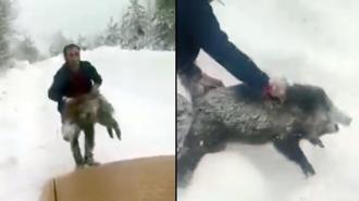 Yolda önüne çıkan yaban domuzunu elleriyle yakalayan sürücü: Kimse denemesin