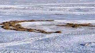 Karla kaplı arazide ay yıldız oluşturdu