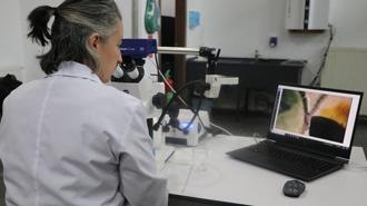 Kayseri’de müzedeki ve kazı çalışmalarında bulunan eserler konservasyon laboratuvarında temizleniyor