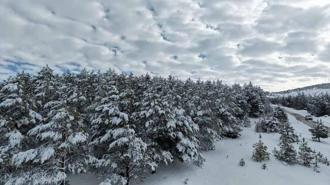 Kardeşler Ormanı'ndan 'karlı' Sivas manzarası