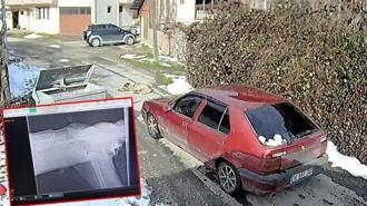 Yolda yatarken otomobilin ezdiği köpeğin, daha önce tüfekle de vurulduğu ortaya çıktı