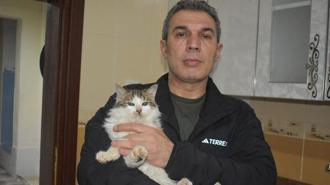 Dondurucu soğukta apartmandaki dairesini kedilere açtı